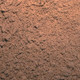BEX00002223-01.jpg.jpeg BEX00002223-01.jpg.jpeg